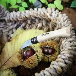 N°07 Châtaigne ail et dénoyautage Opinel personnalisé