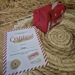 Kit de don « Ma tétine au père Noël » Ornement boite à lettre de noël